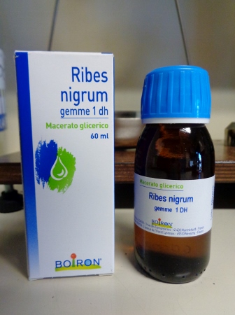 Ribes Nigrum Gemme 1dh Macerato Glicerico